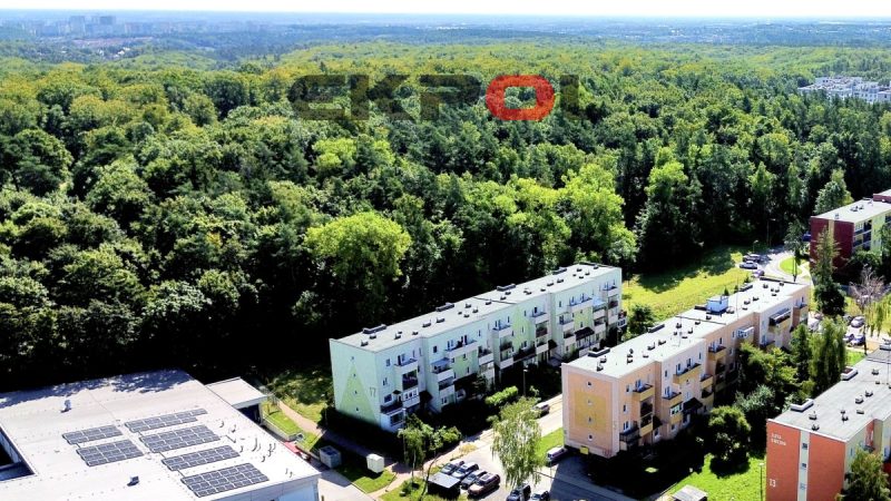 Przestronne, świetna lokalizacja 3-pok 64m2 - obrazek 2